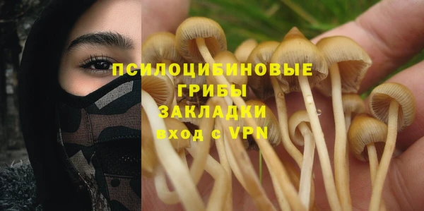 СК Александровское
