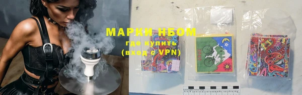 шишки Кущёвская