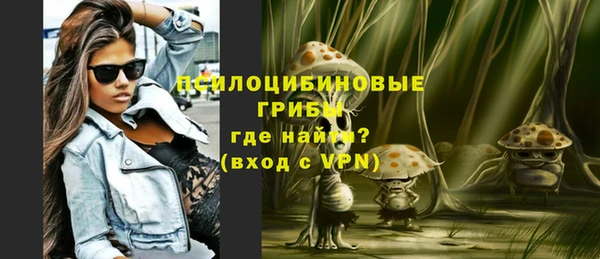 ECSTASY Шадринск