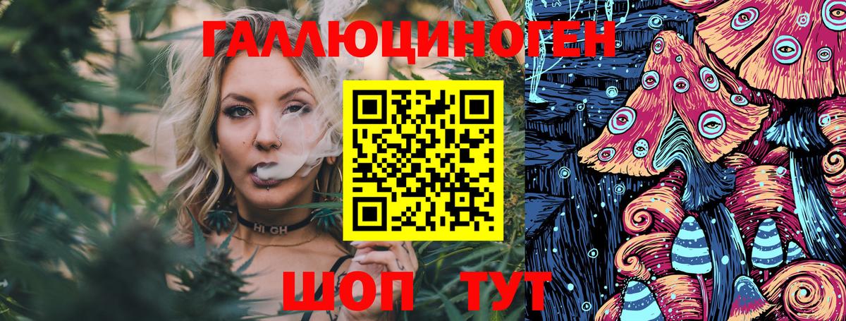Галлюциногенные грибы Cubensis  Галлюциногенные грибы Psilocybine cubensis  закладка  Иваново  Вход с VPN 