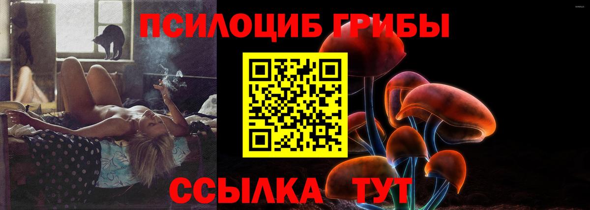 где можно купить   Иваново  Галлюциногенные грибы GOLDEN TEACHER  Галлюциногенные грибы мицелий 