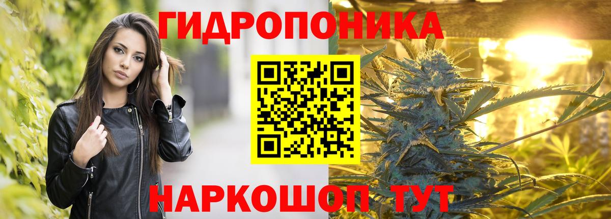 Бошки Шишки THC 21%  Вход с VPN  Иваново  Каннабис Ganja 
